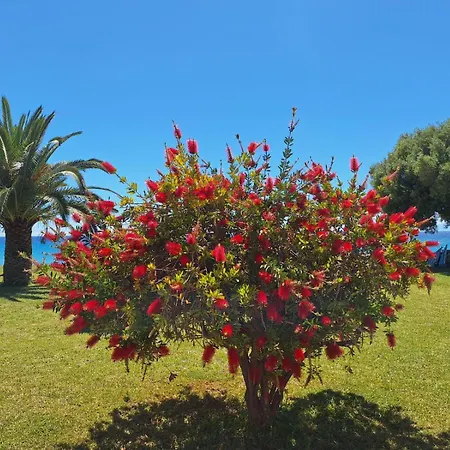 Alkea Beachfront Moles Kalives Halkidiki