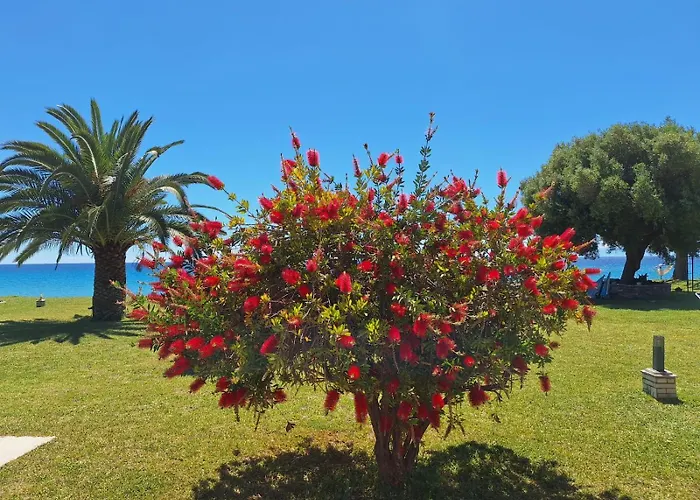 Alkea Beachfront Moles Kalives Halkidiki